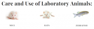 Care and use of Lab Animals @ Crete, Greece
